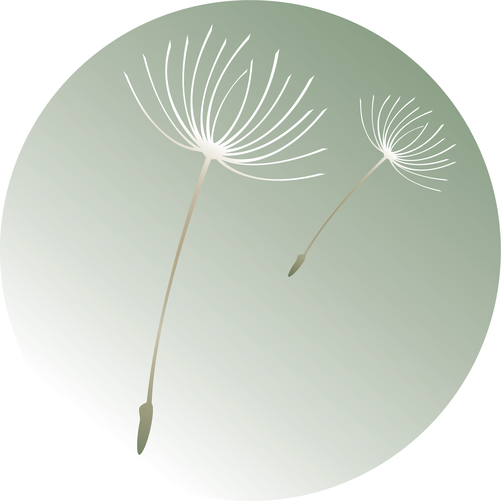 logo_chantal_contact